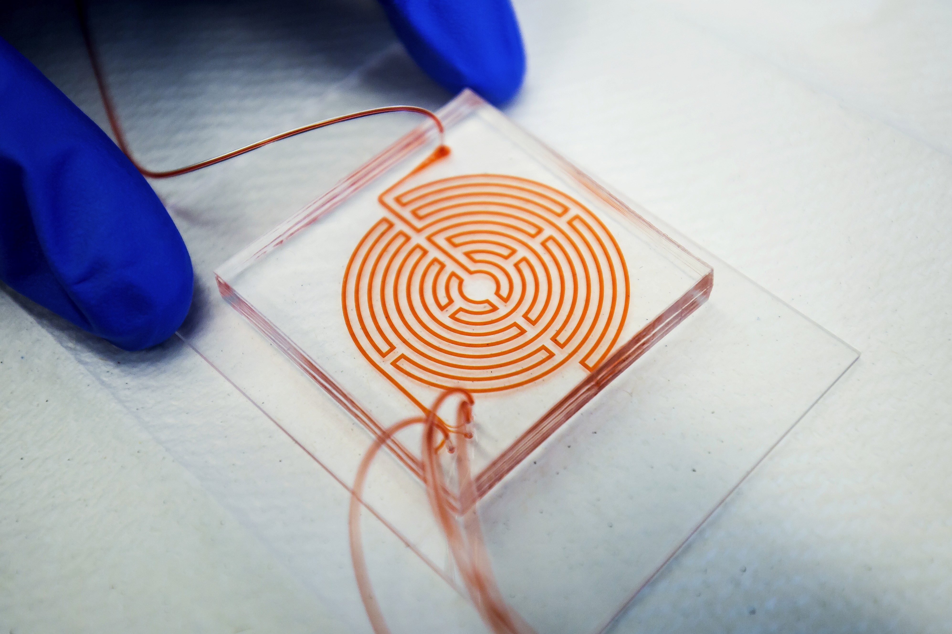 Capturing cancer cells from blood could help doctors choose the right breast cancer treatment